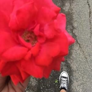 Meet your Posher, Genesis